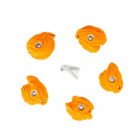 Influ Influ