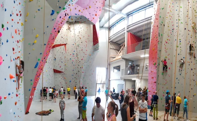 RedRock Climbing