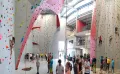 RedRock Climbing