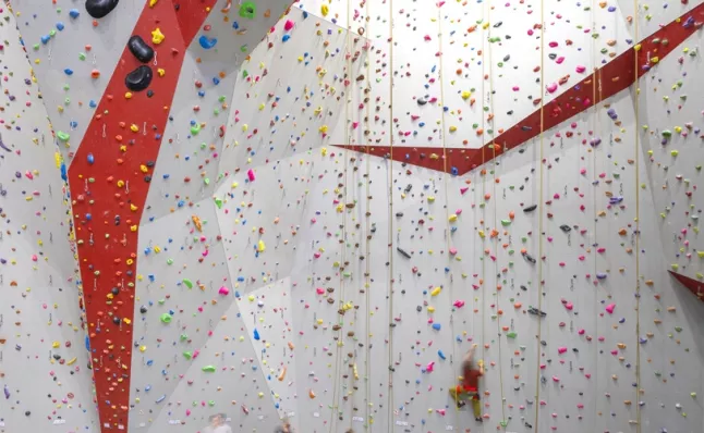 RedRock Climbing